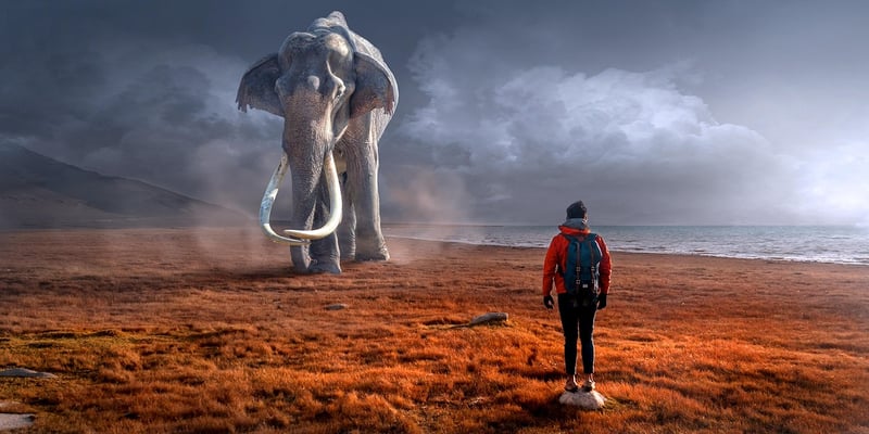 Woolly Mammoth